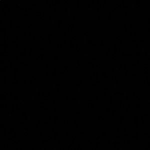 Meet your Posher, Ali